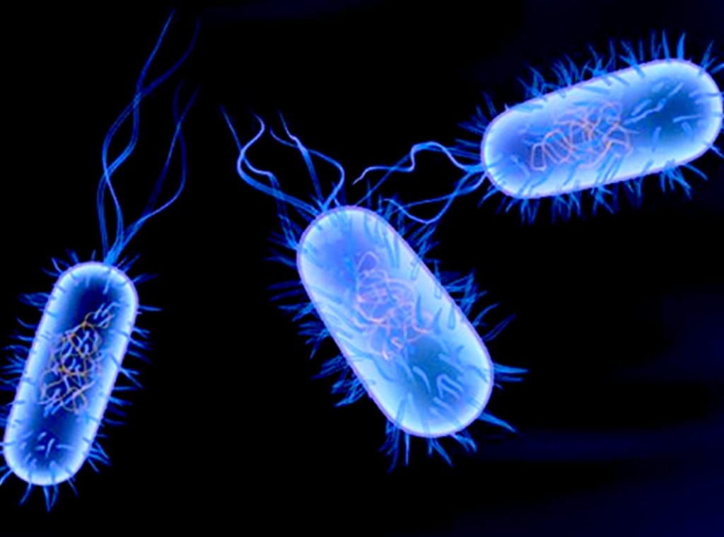 Typhoid ka gharelu ilaj