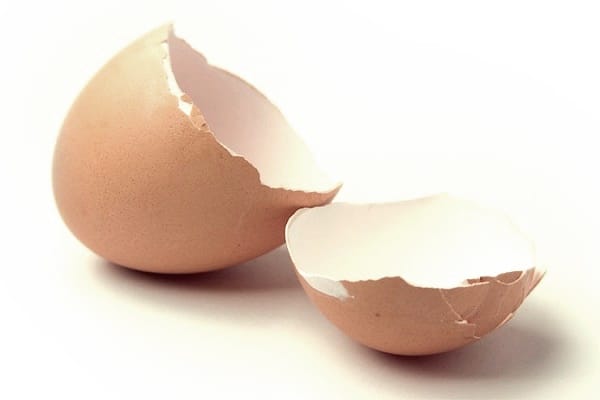 cockroach se chutkara pane ke upay