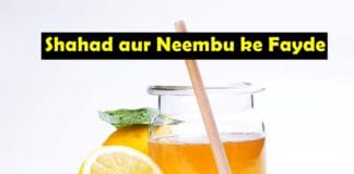 Shahad aur neembu ke fayde