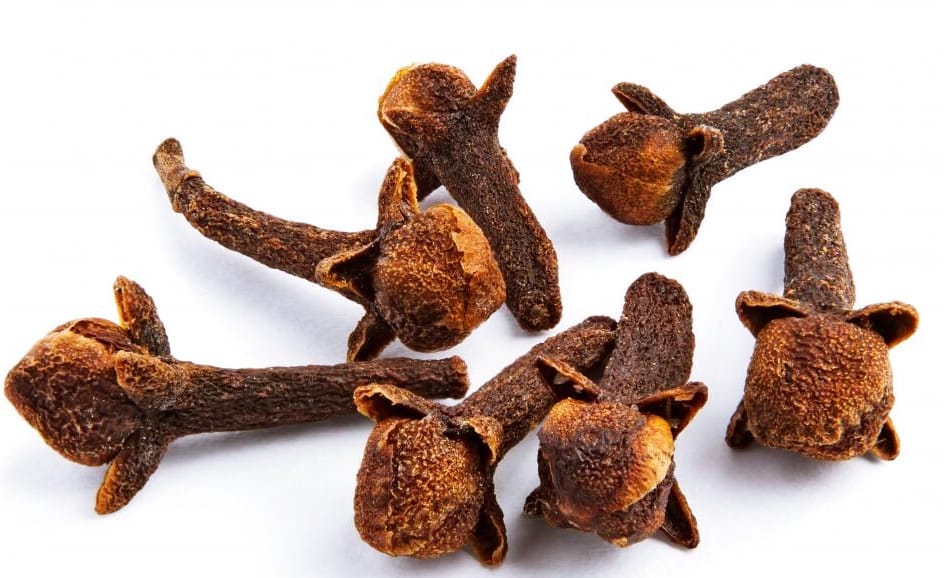 cockroach se chutkara pane ke upay