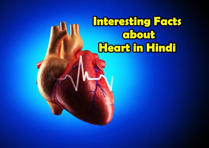 interesting facts about heart in hindi interesting facts about heart in hindi