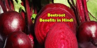 chukandar khane ke fayde chukandar benefits in hindi