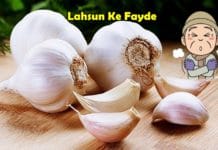 lahsun ke fayde garlic benefits in hindi