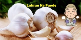 lahsun ke fayde garlic benefits in hindi