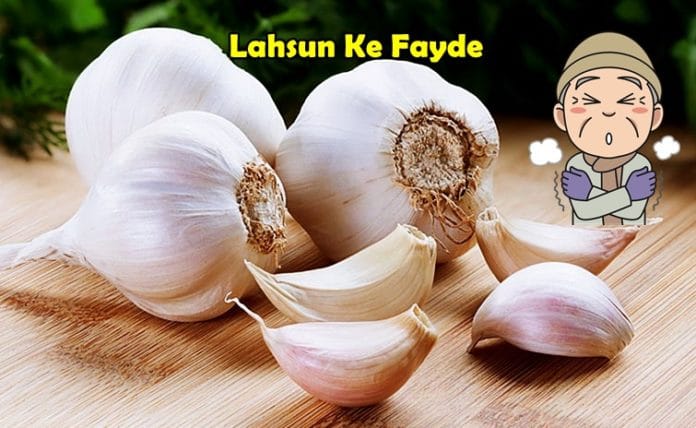 lahsun ke fayde garlic benefits in hindi lahsun ke fayde garlic benefits in hindi