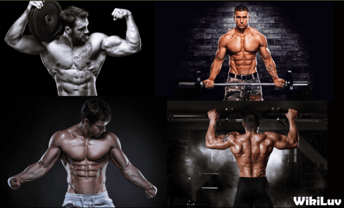 body kaise banaye body banane ke tips in hindi body kaise banaye body banane ke tips in hindi