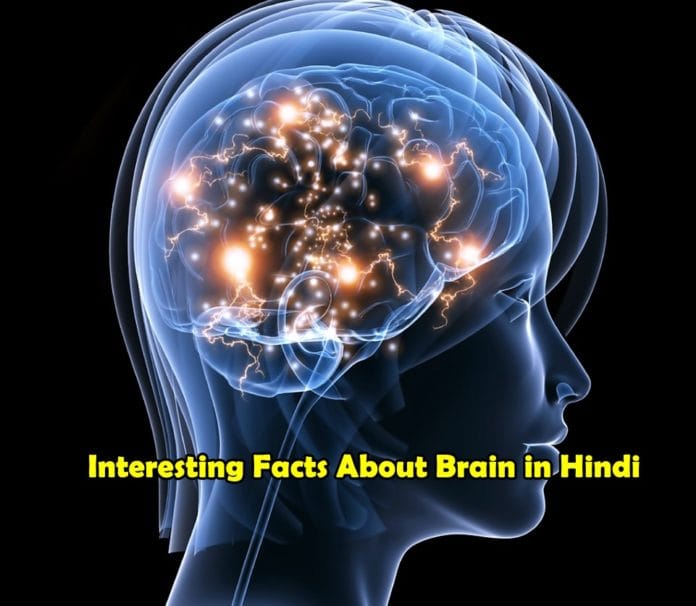 Interesting Facts About Brain in Hindi Interesting Facts About Brain in Hindi