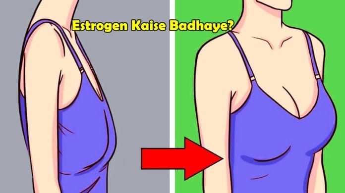 estrogen kaise badhaye increase estrogen in human body estrogen kaise badhaye increase estrogen in human body
