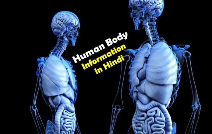 human body information in hindi human body information in hindi