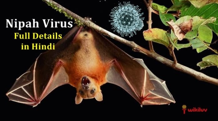 nipah virus symptoms and treatment nipah virus symptoms and treatment