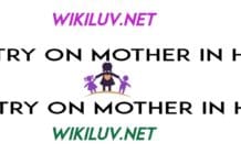 poetry in hindi on mother