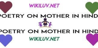 poetry in hindi on mother