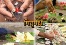 श्राद्ध में किन नियमों का पालन करना चाहिए ?, घर पर कैसे करें पितरों का श्राद्ध, Pitru Paksha Shraddha, 2021 Shradh Date, Donate Food to the Needy Pitru Paksha 2021, पितृ पक्ष कब से हो रहे आरंभ?, 2021 श्राद्ध की तिथियां , Pitru Paksha 2021 mein kab se lag rahe hain, पितृ पक्ष, जानिए किस तिथि पर आएगा कौन सा श्राद्ध, shradha pitru paksha, pitru paksha shraddha, Shradh 2020 dates in gujarati,When is Shradh in 2021, Pitru Paksha 2021 Dates, कब से शुरू हो रहे पितृ पक्ष?, कैसे जानें श्राद्ध का महत्व , पितृ पक्ष 2021 कब से लग रहा है?, जानिए किस तारीख में आएगा कौन सा श्राद्ध, श्राद्ध 2021, श्राद्ध कब से आरंभ हो रहा है, जानें पहले श्राद्ध की डेट और तिथि, Kabh se shuru ho rahe hain Pitru Paksha 2021, Know Starting Date, Importance, Shradh Tithi & Ending Date, Shradh and Navratri 2021, Shradh 2021 list, Today Shradh Tithi, pitru paksha shradh 2021 list, Pitru Paksha Shradh Mahapuja , 6th Oct -Rudraksha Ratna, Shradh 2021 Date, कब से शुरू होगा श्राद्ध पक्ष, जानें तिथि, महत्व और कथा , पितृपक्ष के दौरान क्या करें और क्या न करें?, Shraddha kya hain?, पितर पक में क्या किया जाता है?,पितृपक्ष में क्या परहेज करना चाहिए?,पितर पक में पूजा क्यों नहीं किया जाता है?,पितृपक्ष में क्या करें क्या न करें?,श्राद्ध में कौन सी सब्जी नहीं खानी चाहिए?,Pitru Paksha 2020: आखिर क्यों मनाया जाता है पितृ पक्ष, पितृ पक्ष में कौन सी चीजें नहीं बनानी चाहिए,श्राद्ध में क्या नहीं करना चाहिए?,पितरों का अर्थ क्या है?,पितृ पक्ष में क्या करें, क्या नहीं, कैसे होगा श्राद्ध से पितृ दोष दूर, पितृपक्ष में क्या नहीं करें,श्राद्ध में क्या न करें,पितरांचे टाक,पितृ पक्ष में व्रत रखना चाहिए या नहीं,पितृ पक्ष 2021, Pitra Paksha , पितृ पक्ष में करें ये काम, श्राद्ध के नियम, श्राद्ध में कौन से नियम अपनाने चाहिए, पितृपक्ष क्‍या है?, जानिए इसका महत्‍व और पुरखों के तर्पण का सही तरीका, Pitru Paksha 2021: आज से पितृपक्ष शुरू, जानें- क्या करें और क्या नहीं, पितृदोष से मुक्ति के लिए पितृपक्ष में करें तर्पण-श्राद्ध घर में आएगी खुशहाली, श्राद्ध पक्ष का महत्व,जानिए कैसे करें श्राद्ध और कैसे मिलेगी पितृ ऋण से, श्राद्ध, श्राद्ध कर्म , पितृ पक्ष, पितर पक्ष, पितृपक्ष में श्राद्ध, Shraddh 2021, पितृपक्ष में श्राद्ध विधि,पितरों को खुश करने के लिए क्या करें और क्या नहीं, Pitru paksha 2021 remember these things during , पितृ पक्ष श्राद्ध महापर्व, पितृ पक्ष में इन बातों का रखें ध्यान, फिर जरूर मिलेगा पितरों का आशीर्वाद, पितरों के लिए क्या करें, पितृ पक्ष में किस दिन किसका श्राद्ध किया जाता हैं , श्राद्ध का महत्व, श्राद्ध में किन नियमों का पालन करना चाहिए ?, पितृपक्ष के श्राद्ध, विकिलव, wikiluv, wikiluv.com, www.wikiluv.com, पितृपक्ष 2021 में कब है ? , पितृपक्ष में श्राद्ध की तिथियां, पितृपक्ष में किस दिन करें किसका श्राद्ध, पितृपक्ष में श्राद्ध करने का स्थान,