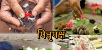श्राद्ध में किन नियमों का पालन करना चाहिए ?, घर पर कैसे करें पितरों का श्राद्ध, Pitru Paksha Shraddha, 2021 Shradh Date, Donate Food to the Needy Pitru Paksha 2021, पितृ पक्ष कब से हो रहे आरंभ?, 2021 श्राद्ध की तिथियां , Pitru Paksha 2021 mein kab se lag rahe hain, पितृ पक्ष, जानिए किस तिथि पर आएगा कौन सा श्राद्ध, shradha pitru paksha, pitru paksha shraddha, Shradh 2020 dates in gujarati,When is Shradh in 2021, Pitru Paksha 2021 Dates, कब से शुरू हो रहे पितृ पक्ष?, कैसे जानें श्राद्ध का महत्व , पितृ पक्ष 2021 कब से लग रहा है?, जानिए किस तारीख में आएगा कौन सा श्राद्ध, श्राद्ध 2021, श्राद्ध कब से आरंभ हो रहा है, जानें पहले श्राद्ध की डेट और तिथि, Kabh se shuru ho rahe hain Pitru Paksha 2021, Know Starting Date, Importance, Shradh Tithi & Ending Date, Shradh and Navratri 2021, Shradh 2021 list, Today Shradh Tithi, pitru paksha shradh 2021 list, Pitru Paksha Shradh Mahapuja , 6th Oct -Rudraksha Ratna, Shradh 2021 Date, कब से शुरू होगा श्राद्ध पक्ष, जानें तिथि, महत्व और कथा , पितृपक्ष के दौरान क्या करें और क्या न करें?, Shraddha kya hain?, पितर पक में क्या किया जाता है?,पितृपक्ष में क्या परहेज करना चाहिए?,पितर पक में पूजा क्यों नहीं किया जाता है?,पितृपक्ष में क्या करें क्या न करें?,श्राद्ध में कौन सी सब्जी नहीं खानी चाहिए?,Pitru Paksha 2020: आखिर क्यों मनाया जाता है पितृ पक्ष, पितृ पक्ष में कौन सी चीजें नहीं बनानी चाहिए,श्राद्ध में क्या नहीं करना चाहिए?,पितरों का अर्थ क्या है?,पितृ पक्ष में क्या करें, क्या नहीं, कैसे होगा श्राद्ध से पितृ दोष दूर, पितृपक्ष में क्या नहीं करें,श्राद्ध में क्या न करें,पितरांचे टाक,पितृ पक्ष में व्रत रखना चाहिए या नहीं,पितृ पक्ष 2021, Pitra Paksha , पितृ पक्ष में करें ये काम, श्राद्ध के नियम, श्राद्ध में कौन से नियम अपनाने चाहिए, पितृपक्ष क्‍या है?, जानिए इसका महत्‍व और पुरखों के तर्पण का सही तरीका, Pitru Paksha 2021: आज से पितृपक्ष शुरू, जानें- क्या करें और क्या नहीं, पितृदोष से मुक्ति के लिए पितृपक्ष में करें तर्पण-श्राद्ध घर में आएगी खुशहाली, श्राद्ध पक्ष का महत्व,जानिए कैसे करें श्राद्ध और कैसे मिलेगी पितृ ऋण से, श्राद्ध, श्राद्ध कर्म , पितृ पक्ष, पितर पक्ष, पितृपक्ष में श्राद्ध, Shraddh 2021, पितृपक्ष में श्राद्ध विधि,पितरों को खुश करने के लिए क्या करें और क्या नहीं, Pitru paksha 2021 remember these things during , पितृ पक्ष श्राद्ध महापर्व, पितृ पक्ष में इन बातों का रखें ध्यान, फिर जरूर मिलेगा पितरों का आशीर्वाद, पितरों के लिए क्या करें, पितृ पक्ष में किस दिन किसका श्राद्ध किया जाता हैं , श्राद्ध का महत्व, श्राद्ध में किन नियमों का पालन करना चाहिए ?, पितृपक्ष के श्राद्ध, विकिलव, wikiluv, wikiluv.com, www.wikiluv.com, पितृपक्ष 2021 में कब है ? , पितृपक्ष में श्राद्ध की तिथियां, पितृपक्ष में किस दिन करें किसका श्राद्ध, पितृपक्ष में श्राद्ध करने का स्थान,