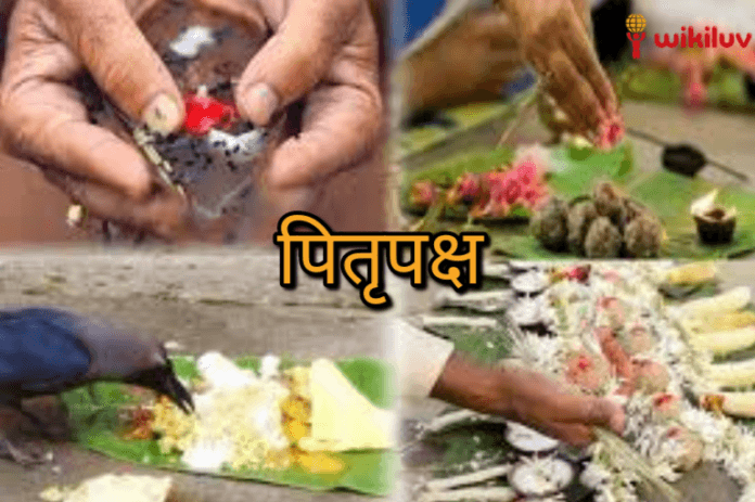 पितृपक्ष श्राद्ध में किन नियमों का पालन करना चाहिए ?, घर पर कैसे करें पितरों का श्राद्ध, Pitru Paksha Shraddha, 2021 Shradh Date, Donate Food to the Needy Pitru Paksha 2021, पितृ पक्ष कब से हो रहे आरंभ?, 2021 श्राद्ध की तिथियां , Pitru Paksha 2021 mein kab se lag rahe hain, पितृ पक्ष, जानिए किस तिथि पर आएगा कौन सा श्राद्ध, shradha pitru paksha, pitru paksha shraddha, Shradh 2020 dates in gujarati,When is Shradh in 2021, Pitru Paksha 2021 Dates, कब से शुरू हो रहे पितृ पक्ष?, कैसे जानें श्राद्ध का महत्व , पितृ पक्ष 2021 कब से लग रहा है?, जानिए किस तारीख में आएगा कौन सा श्राद्ध, श्राद्ध 2021, श्राद्ध कब से आरंभ हो रहा है, जानें पहले श्राद्ध की डेट और तिथि, Kabh se shuru ho rahe hain Pitru Paksha 2021, Know Starting Date, Importance, Shradh Tithi & Ending Date, Shradh and Navratri 2021, Shradh 2021 list, Today Shradh Tithi, pitru paksha shradh 2021 list, Pitru Paksha Shradh Mahapuja , 6th Oct -Rudraksha Ratna, Shradh 2021 Date, कब से शुरू होगा श्राद्ध पक्ष, जानें तिथि, महत्व और कथा , पितृपक्ष के दौरान क्या करें और क्या न करें?, Shraddha kya hain?, पितर पक में क्या किया जाता है?,पितृपक्ष में क्या परहेज करना चाहिए?,पितर पक में पूजा क्यों नहीं किया जाता है?,पितृपक्ष में क्या करें क्या न करें?,श्राद्ध में कौन सी सब्जी नहीं खानी चाहिए?,Pitru Paksha 2020: आखिर क्यों मनाया जाता है पितृ पक्ष, पितृ पक्ष में कौन सी चीजें नहीं बनानी चाहिए,श्राद्ध में क्या नहीं करना चाहिए?,पितरों का अर्थ क्या है?,पितृ पक्ष में क्या करें, क्या नहीं, कैसे होगा श्राद्ध से पितृ दोष दूर, पितृपक्ष में क्या नहीं करें,श्राद्ध में क्या न करें,पितरांचे टाक,पितृ पक्ष में व्रत रखना चाहिए या नहीं,पितृ पक्ष 2021, Pitra Paksha , पितृ पक्ष में करें ये काम, श्राद्ध के नियम, श्राद्ध में कौन से नियम अपनाने चाहिए, पितृपक्ष क्या है?, जानिए इसका महत्व और पुरखों के तर्पण का सही तरीका, Pitru Paksha 2021: आज से पितृपक्ष शुरू, जानें- क्या करें और क्या नहीं, पितृदोष से मुक्ति के लिए पितृपक्ष में करें तर्पण-श्राद्ध घर में आएगी खुशहाली, श्राद्ध पक्ष का महत्व,जानिए कैसे करें श्राद्ध और कैसे मिलेगी पितृ ऋण से, श्राद्ध, श्राद्ध कर्म , पितृ पक्ष, पितर पक्ष, पितृपक्ष में श्राद्ध, Shraddh 2021, पितृपक्ष में श्राद्ध विधि,पितरों को खुश करने के लिए क्या करें और क्या नहीं, Pitru paksha 2021 remember these things during , पितृ पक्ष श्राद्ध महापर्व, पितृ पक्ष में इन बातों का रखें ध्यान, फिर जरूर मिलेगा पितरों का आशीर्वाद, पितरों के लिए क्या करें, पितृ पक्ष में किस दिन किसका श्राद्ध किया जाता हैं , श्राद्ध का महत्व, श्राद्ध में किन नियमों का पालन करना चाहिए ?, पितृपक्ष के श्राद्ध, विकिलव, wikiluv, wikiluv.com, www.wikiluv.com, पितृपक्ष 2021 में कब है ? , पितृपक्ष में श्राद्ध की तिथियां, पितृपक्ष में किस दिन करें किसका श्राद्ध, पितृपक्ष में श्राद्ध करने का स्थान,