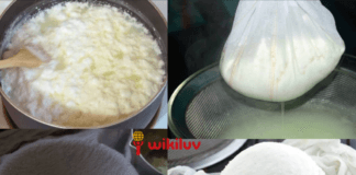 Paneer/chena Recipe in Hindi, paneer recipe in hindi, Chenna Making, छेना बनाने की विधि,पनीर रेसिपी मधुरा,पनीर ब्रेकफास्ट रेसिपी, paneer banane ki vidhi, doodh se paneer banane ki vidhi,पनीर कैसे बनाये घर पर, how to make paneer at home , 1 लीटर दूध से घर बनाये बाजार जैसा पनीर, How to make Paneer at home , पनीर, Dudh se paneer banane ka asli tarika. दूध से पनीर बनाने की विधि,How to make paneer at home in hindi,Dudh se paneer banane ka asli tarika,दूध से पनीर बनाने की विधि, How to make soft paneer at home,थोड़े दूध से ज्यादा पनीर बनाये ,Doodh se Paneer banane ki vidhi , ghar par hi paneer banane ki vidhi,दूध से ज्यादा पनीर कैसे बनाएं?,दूध से पनीर बनाने की विधि ,छैना बनाने का तरीका , Fresh Paneer Recipe,Fresh Paneer Recipe at home in hindi, doodh se paneer kese banaye,1 लीटर दूध में कितना पनीर निकलेगा?,पनीर बनाने की टिप्स,दूध से पनीर बनाने की विधि, छैना बनाने का तरीका, Fresh Paneer Recipe By Reena,गाय के दूध का पनीर रेसिपी , गाय के दूध से बना पनीर |, घर पर गाय के दूध से बना शाही पनीर , How To Make Paneer Using Cow’s Milk,घर पर पनीर बनाने की विधि, Homemade Paneer Recipe, पारूल के स्वादिष्ट व्यंजन, Parul ki Recipes, Homemade Paneer Recipe in hindi,दूध से पनीर प्राप्त करने में किस विधि का उपयोग होता है,दही से पनीर कैसे बनाएं,Recipe, दूध से घर पर पनीर बनाने की ये है आसान रेसिपी, स्वाद होगा लाजवाब,paneer, chena, paneer recipe in hindi, paneer sabji recipe, paneer mithai recipes, How to make Paneer at home by nishamadhulika, पनीर कैसे बनायें - Nishamadhulika, दूध से पनीर बनाने के लिए आवश्यक सामग्री, दूध से छेना बनाने की मुख्य सामग्री Ingredients Required for Making Paneer in Hindi, Ingredients Required for Making chena in Hindi, sweet recipes in hindi,sweet recipe in hindi, Sweet names Indian,Easy mithai recipe,Indian Mithai Recipes, Indian Sweets Recipe, Easy sweet recipe, Easy sweet recipe in hindi,Easy and Simple Mithai Recipes, Indian Desserts, Indian Desserts recipe, Indian Desserts recipes in hindi, Quick Sweet Recipes, 300 Quick Indian Sweet Recipes, Mithai recipes, Indian sweets recipes in hindi, 170 Indian desserts recipes in hindi, Milkmaid recipes video, hindi food viva, tarladalal, habbars kitchen, indian recipes, indian recipe, indian recipes in hindi, indian healthy food recipes, indianrecipes, indianrecipeez, indianzrecipees, wikiluv, विकिलव, wikiluv.com, www.wikiluv.com, इंडियन रेसिपी, इंडियन रेसिपीस, भारतीय व्यंजन, भरतीय व्यंजन रेसिपी, nishamadhulika, हेल्दी फ़ूड, healthy food recipe in hindi, healthy food, indianrecipesinhindi, cookpad, tarladalal, nisha madhulika, nisha madhulika, ranveer brar, sanjeev kapoor, Swati Recipe, रणवीर बरार, रणवीर बरार रेसिपी, रणवीर बरार रेसिपी इन हिंदी, swatirecipe, रनवीर बरार,KHANE KI KHUSHBOO